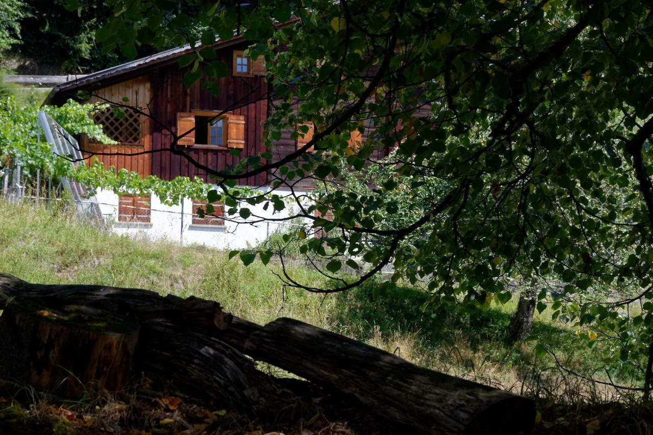 Landhaus Tenne Bartholomäberg Kültér fotó